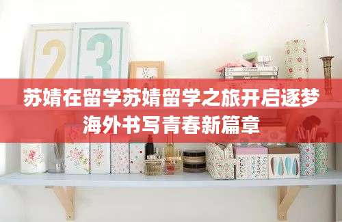 苏婧在留学苏婧留学之旅开启逐梦海外书写青春新篇章