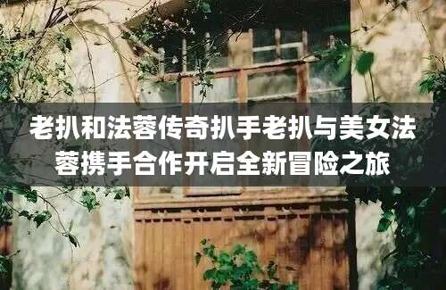 老扒和法蓉传奇扒手老扒与美女法蓉携手合作开启全新冒险之旅