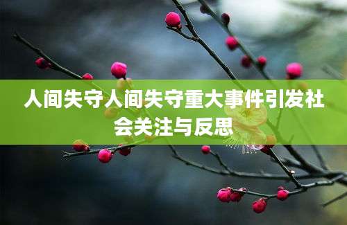 人间失守人间失守重大事件引发社会关注与反思