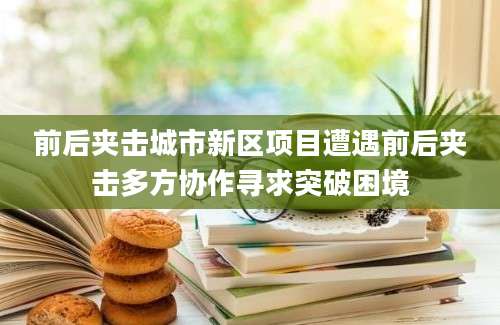 前后夹击城市新区项目遭遇前后夹击多方协作寻求突破困境