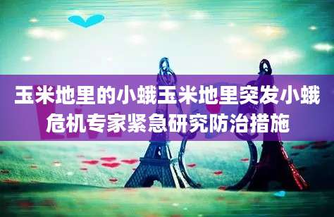 玉米地里的小蛾玉米地里突发小蛾危机专家紧急研究防治措施