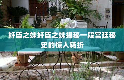 奸臣之妹奸臣之妹揭秘一段宫廷秘史的惊人转折