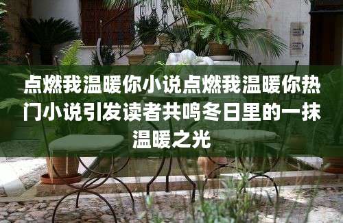 点燃我温暖你小说点燃我温暖你热门小说引发读者共鸣冬日里的一抹温暖之光