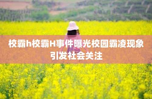 校霸h校霸H事件曝光校园霸凌现象引发社会关注