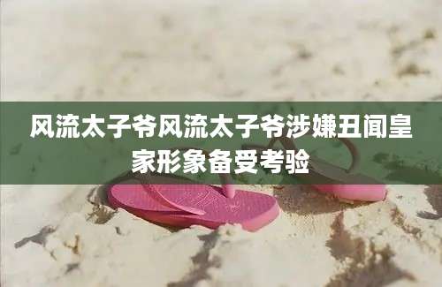 风流太子爷风流太子爷涉嫌丑闻皇家形象备受考验