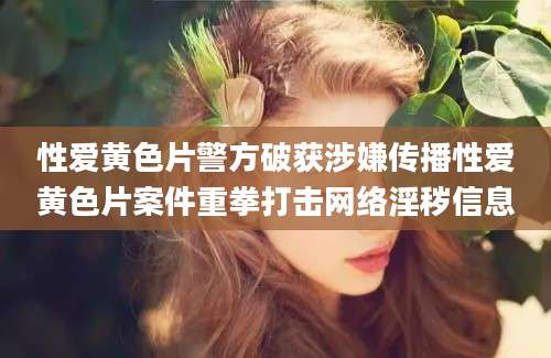 性爱黄色片警方破获涉嫌传播性爱黄色片案件重拳打击网络淫秽信息