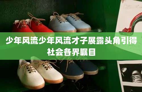少年风流少年风流才子展露头角引得社会各界瞩目
