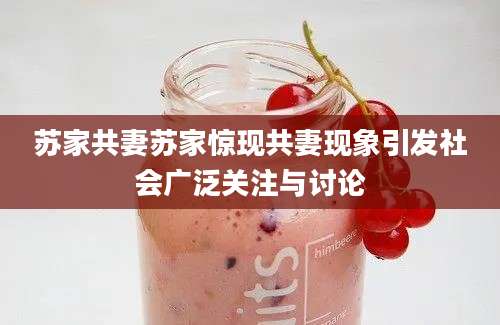 苏家共妻苏家惊现共妻现象引发社会广泛关注与讨论