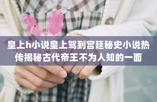 皇上h小说皇上驾到宫廷秘史小说热传揭秘古代帝王不为人知的一面