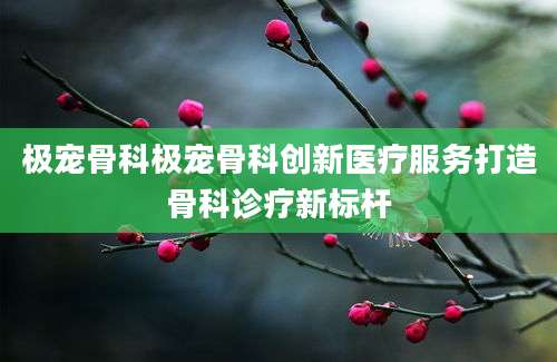 极宠骨科极宠骨科创新医疗服务打造骨科诊疗新标杆