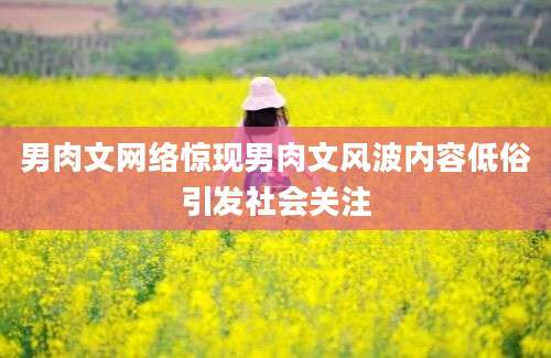 男肉文网络惊现男肉文风波内容低俗引发社会关注