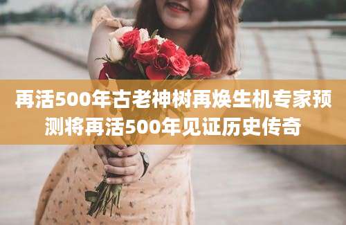 再活500年古老神树再焕生机专家预测将再活500年见证历史传奇
