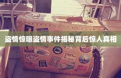 盗情惊曝盗情事件揭秘背后惊人真相