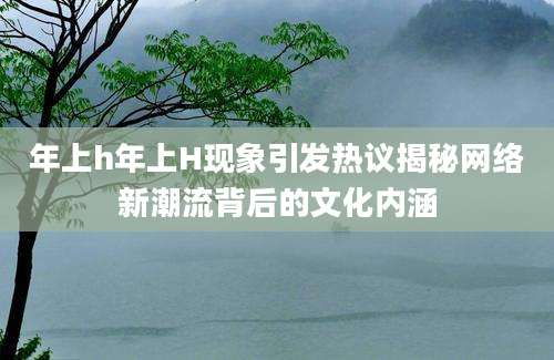 年上h年上H现象引发热议揭秘网络新潮流背后的文化内涵