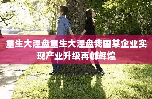 重生大涅盘重生大涅盘我国某企业实现产业升级再创辉煌