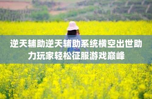 逆天辅助逆天辅助系统横空出世助力玩家轻松征服游戏巅峰