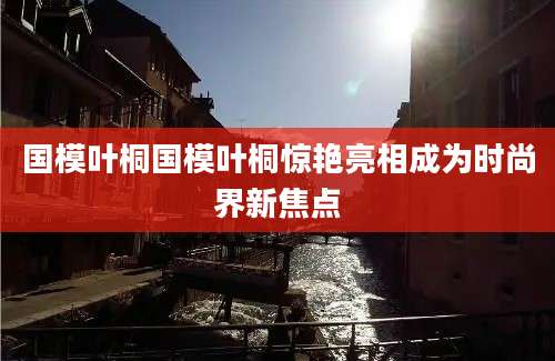 国模叶桐国模叶桐惊艳亮相成为时尚界新焦点