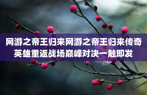 网游之帝王归来网游之帝王归来传奇英雄重返战场巅峰对决一触即发