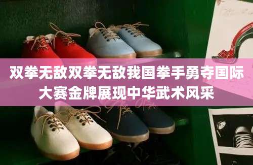 双拳无敌双拳无敌我国拳手勇夺国际大赛金牌展现中华武术风采