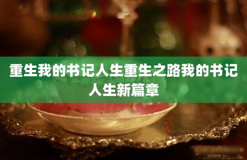 重生我的书记人生重生之路我的书记人生新篇章