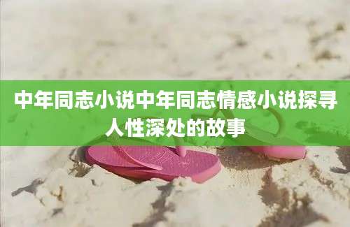 中年同志小说中年同志情感小说探寻人性深处的故事