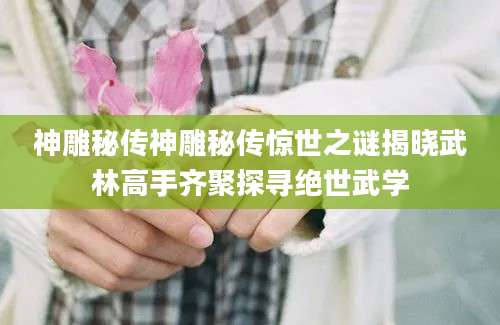 神雕秘传神雕秘传惊世之谜揭晓武林高手齐聚探寻绝世武学