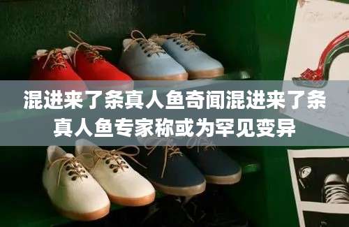 混进来了条真人鱼奇闻混进来了条真人鱼专家称或为罕见变异