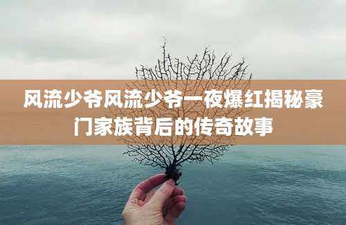 风流少爷风流少爷一夜爆红揭秘豪门家族背后的传奇故事