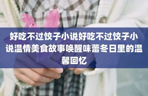 好吃不过饺子小说好吃不过饺子小说温情美食故事唤醒味蕾冬日里的温馨回忆