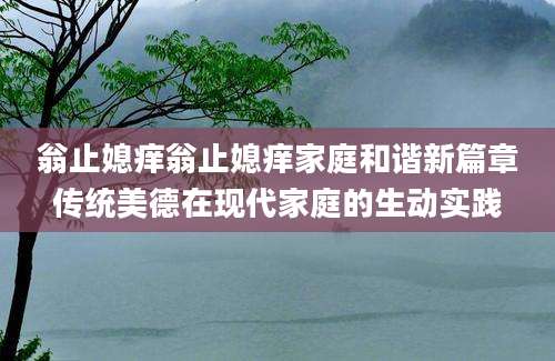翁止媳痒翁止媳痒家庭和谐新篇章传统美德在现代家庭的生动实践