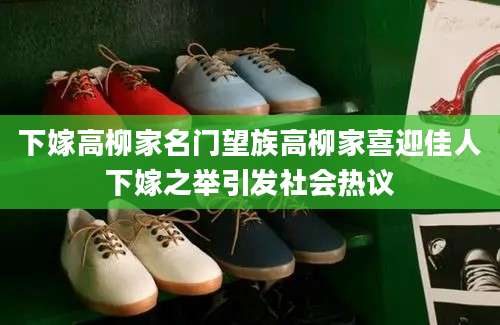 下嫁高柳家名门望族高柳家喜迎佳人下嫁之举引发社会热议