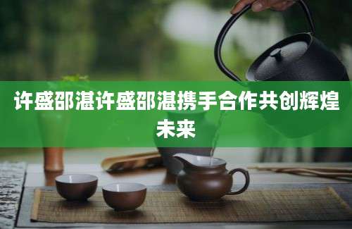 许盛邵湛许盛邵湛携手合作共创辉煌未来