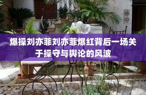 爆操刘亦菲刘亦菲爆红背后一场关于操守与舆论的风波