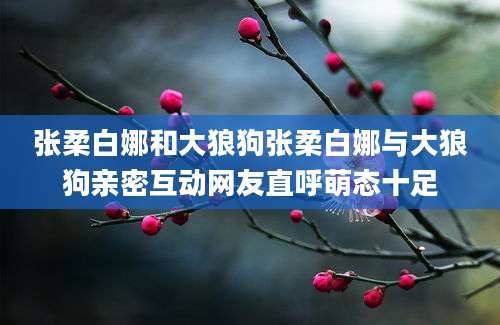 张柔白娜和大狼狗张柔白娜与大狼狗亲密互动网友直呼萌态十足