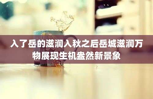入了岳的滋润入秋之后岳城滋润万物展现生机盎然新景象