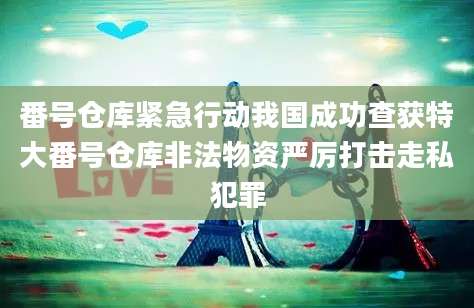 番号仓库紧急行动我国成功查获特大番号仓库非法物资严厉打击走私犯罪