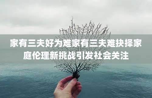 家有三夫好为难家有三夫难抉择家庭伦理新挑战引发社会关注