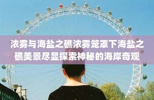 浓雾与海盐之礁浓雾笼罩下海盐之礁美景尽显探索神秘的海岸奇观