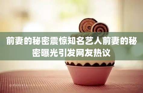 前妻的秘密震惊知名艺人前妻的秘密曝光引发网友热议