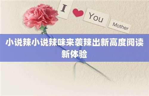 小说辣小说辣味来袭辣出新高度阅读新体验