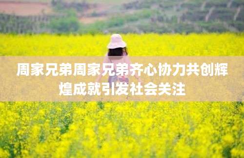 周家兄弟周家兄弟齐心协力共创辉煌成就引发社会关注