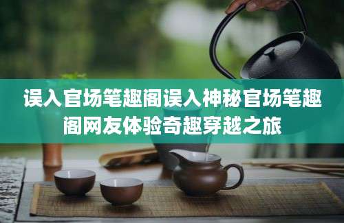 误入官场笔趣阁误入神秘官场笔趣阁网友体验奇趣穿越之旅