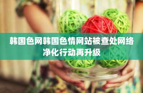 韩国色网韩国色情网站被查处网络净化行动再升级