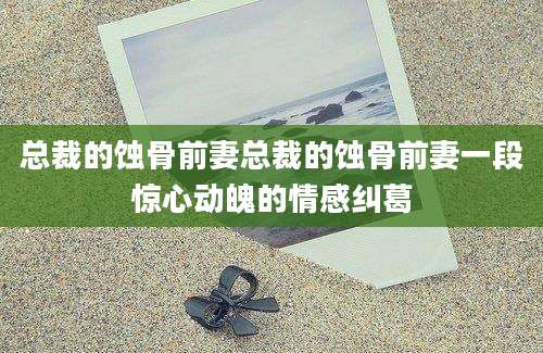 总裁的蚀骨前妻总裁的蚀骨前妻一段惊心动魄的情感纠葛