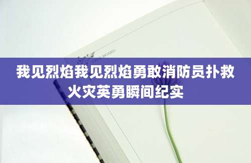 我见烈焰我见烈焰勇敢消防员扑救火灾英勇瞬间纪实