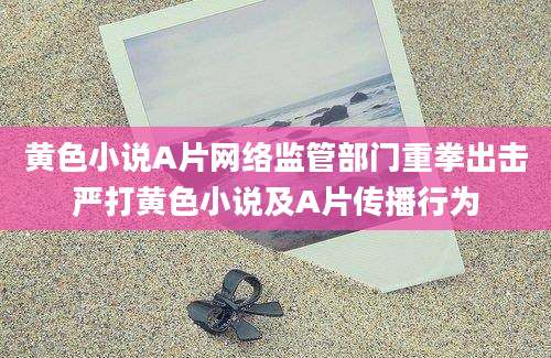 黄色小说A片网络监管部门重拳出击严打黄色小说及A片传播行为