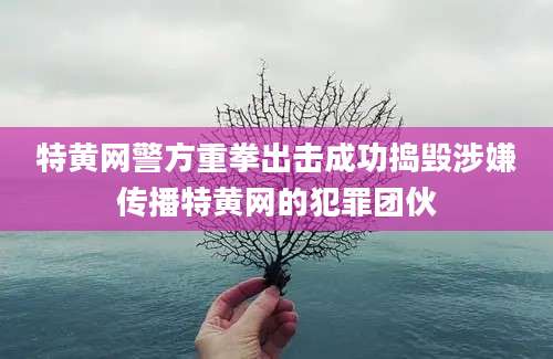 特黄网警方重拳出击成功捣毁涉嫌传播特黄网的犯罪团伙