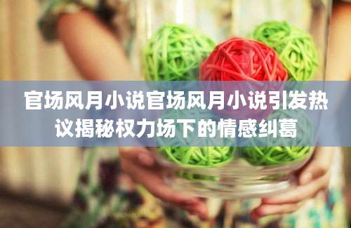 官场风月小说官场风月小说引发热议揭秘权力场下的情感纠葛