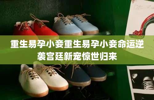重生易孕小妾重生易孕小妾命运逆袭宫廷新宠惊世归来