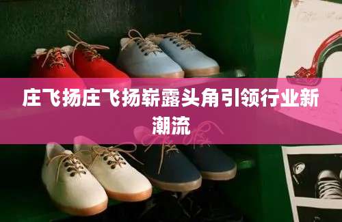 庄飞扬庄飞扬崭露头角引领行业新潮流